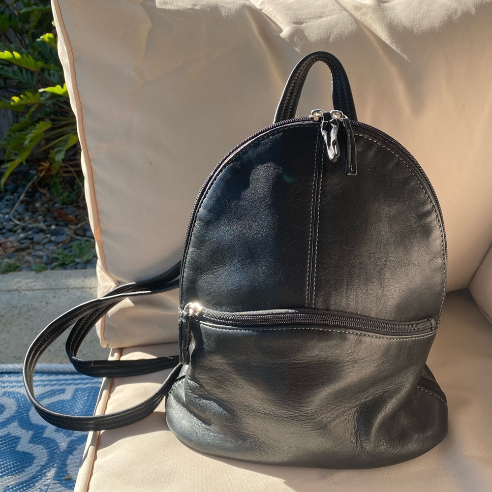 Tignanello Women’s Leather Backpack Coach Kate Spade Nine West Steve Madden